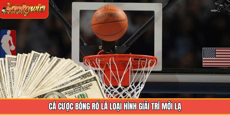 Cá cược bóng rổ là loại hình giải trí mới lạ Cá cược bóng rổ là loại hình giải trí mới lạ